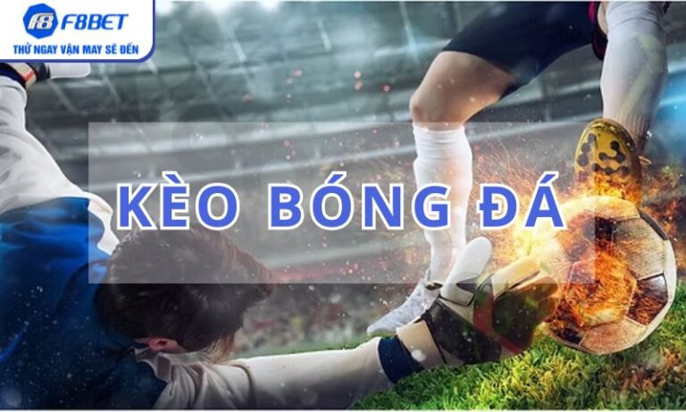 Soi kèo bóng đá với dữ liệu trận đấu chi tiết